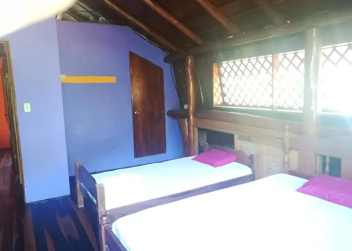 Casa Robin Samara
